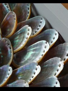 Blott Kerr-Wilson, 'Amanda' 180 x 180cm, asses ear shells, detail 2