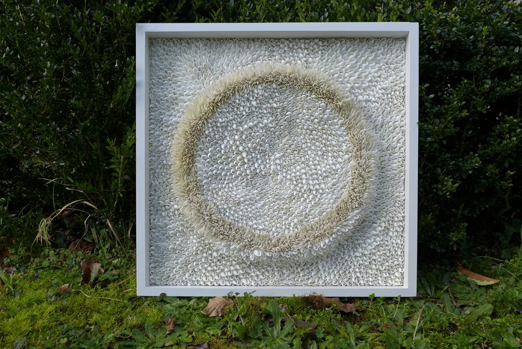 Blott Kerr-Wilson, 'Halo', bubble and tusk shells, frame view