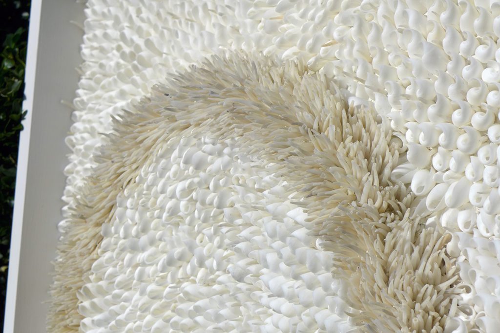 Blott Kerr-Wilson, 'Halo', bubble and tusk shells, detail