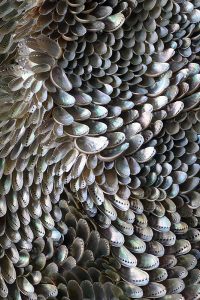 Blott Kerr-Wilson, 'Hilary', asses ear shells, detail view
