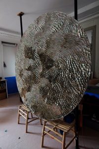 Blott Kerr-Wilson, 'Large', asses ear shells, full view