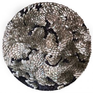 Blott Kerr-Wilson, 'Morston', 100cm diameter, asses ears and purple cay cay shells