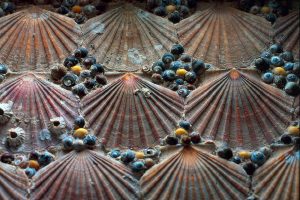 Blott Kerr-Wilson, 'Ballymaloe', close shell detail
