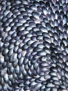 Blott Kerr-Wilson, 'Orangery', close mussel shell detail