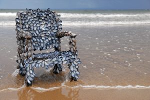 Blott Kerr-Wilson, 'Chairs', detail of mussel shell chair