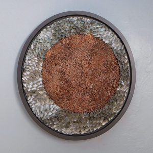 Blott Kerr-Wilson, 'Changing Tides', asses ears and screw shells, 2018