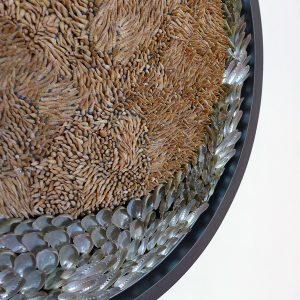 Blott Kerr-Wilson, 'Changing Tides', asses ears and screw shells, detail, 2018