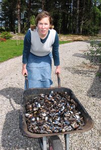 Blott Kerr-Wilson, 'Tain Clothes Project', wheelbarrow with mussel shells