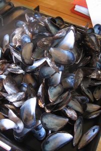 Blott Kerr-Wilson, 'Tain Clothes Project', mussel shells cleaned