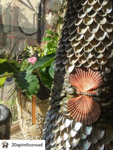 shell butterfly detail