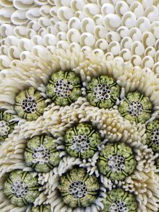 Wall detail of Rockhall made from tusk shells, green sea urchins