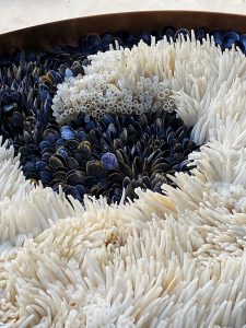 Faroes 43cm Diameter - Baby Mussel and Tusk Shells