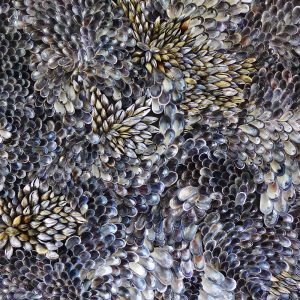 Lundy 43cm Diameter - Baby Mussel Shells
