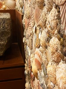 Shelled Interiors at The george in Rye Hotel