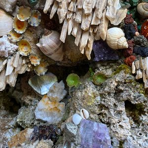 detail of shelled grotto